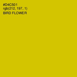#D4C501 - Bird Flower Color Image